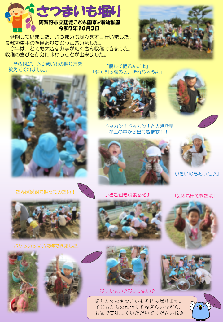 さつまいも掘りの様子