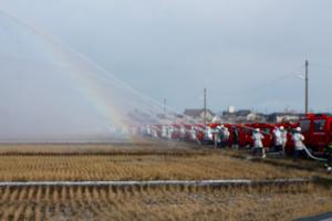 1列に並び田んぼに向かって一斉放水する消防車の写真