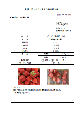 イチゴの加工データ