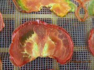 乾燥した中玉トマトの断面を写した写真