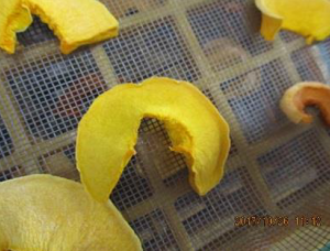 バターナッツかぼちゃを乾燥させた写真